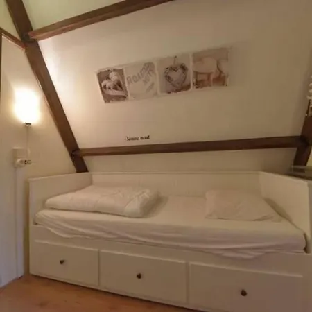 La Catrina - 41, Sunclass *