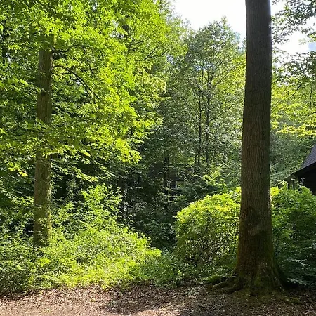 Rustig Gelegen, Comfortabele En Gerenoveerde Tiny House Op Wandelafstand Chalet *