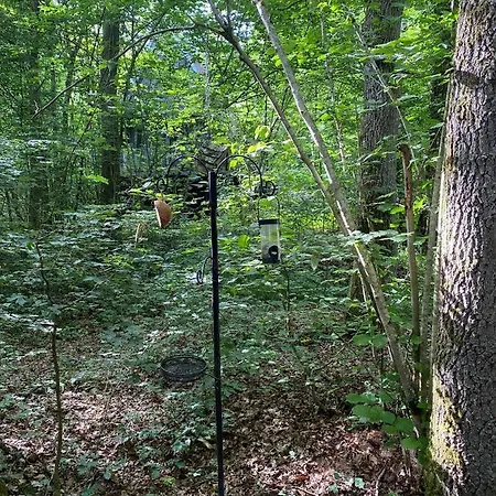 Alpesi faház La Catrina - Toplocatie In De Ardennen - Nr 041 Durbuy