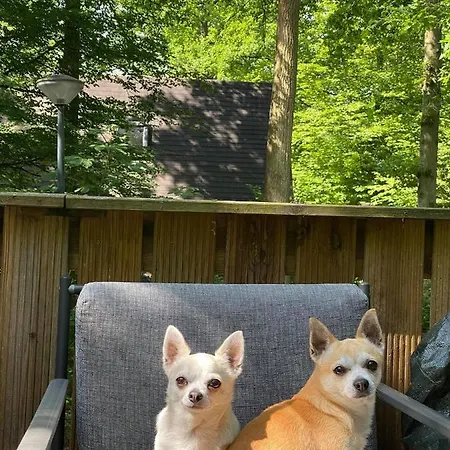 La Catrina - 41, Sunclass *