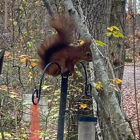 La Catrina - 41, Sunclass * Durbuy