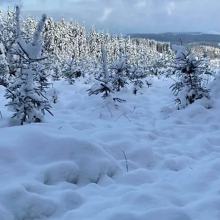 La Catrina - 41, Sunclass