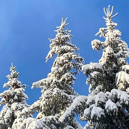 La Catrina - 41, Sunclass