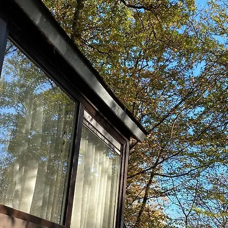 Rustig Gelegen, Comfortabele En Gerenoveerde Tiny House Op Wandelafstand Chalet