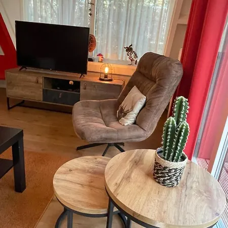 La Catrina - 41, Sunclass *