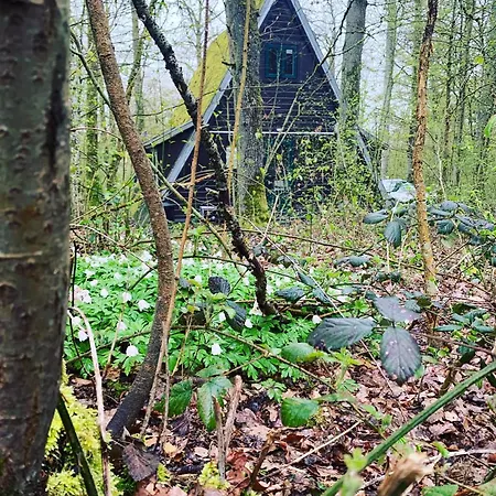 Rustig Gelegen, Comfortabele En Gerenoveerde Tiny House Op Wandelafstand Chalet Durbuy